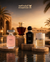 Al Majed Oud