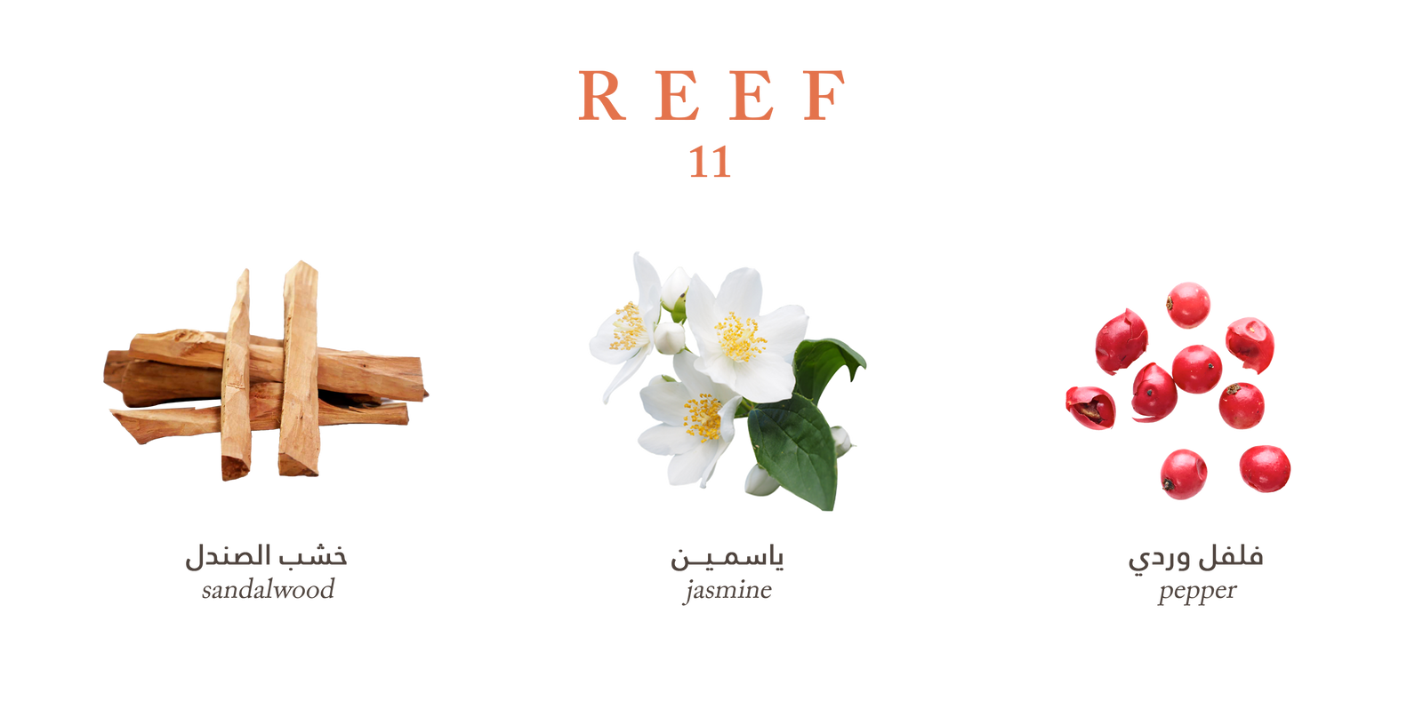 Reef Mood 11 - Air Freshener