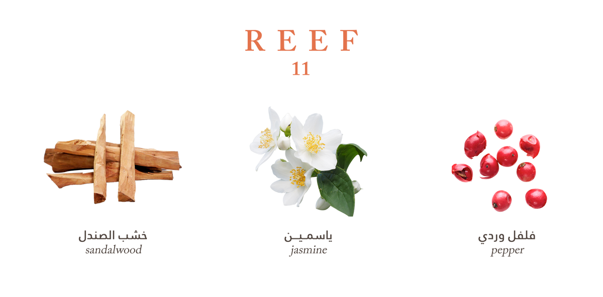 Reef 11 - Diffuser