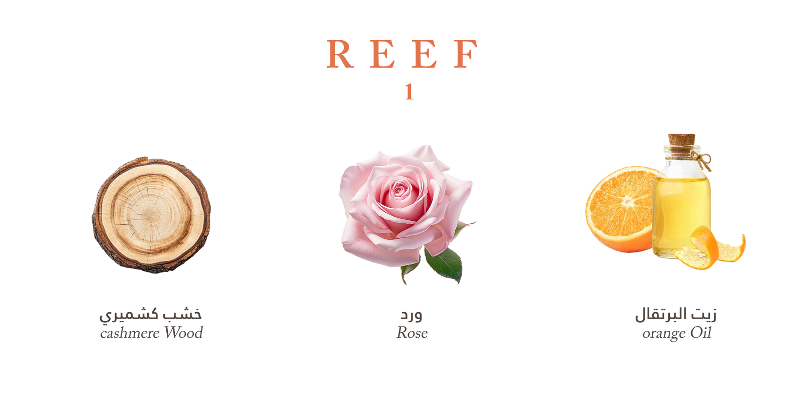 Reef Mood 1 - Air Freshener