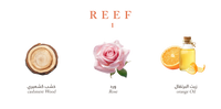 Reef Mood 1 - Air Freshener
