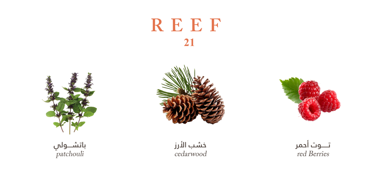 Reef 21 - Hair and Body Mist