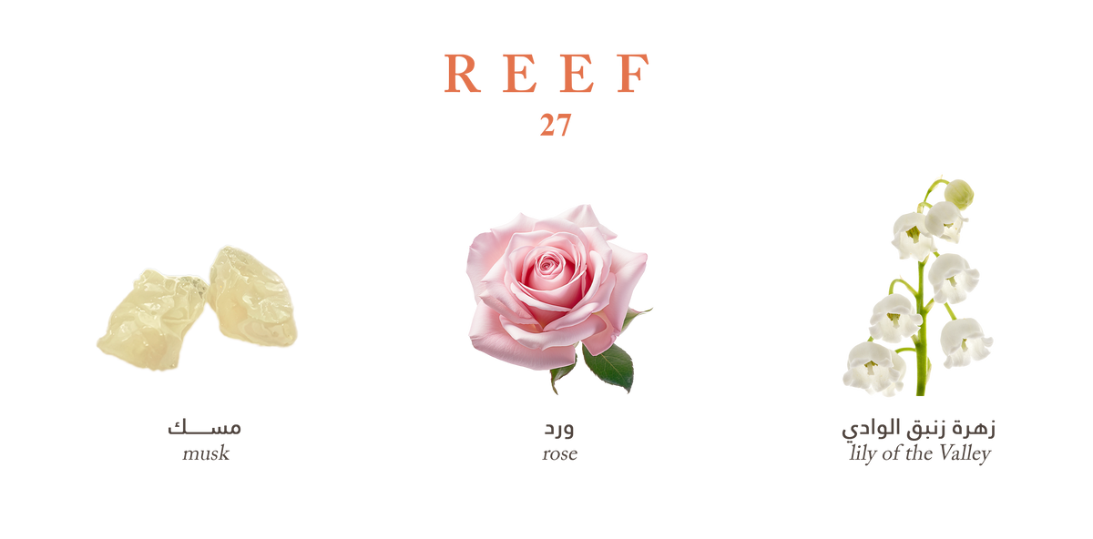 Reef 27 – A Whisper of Rose