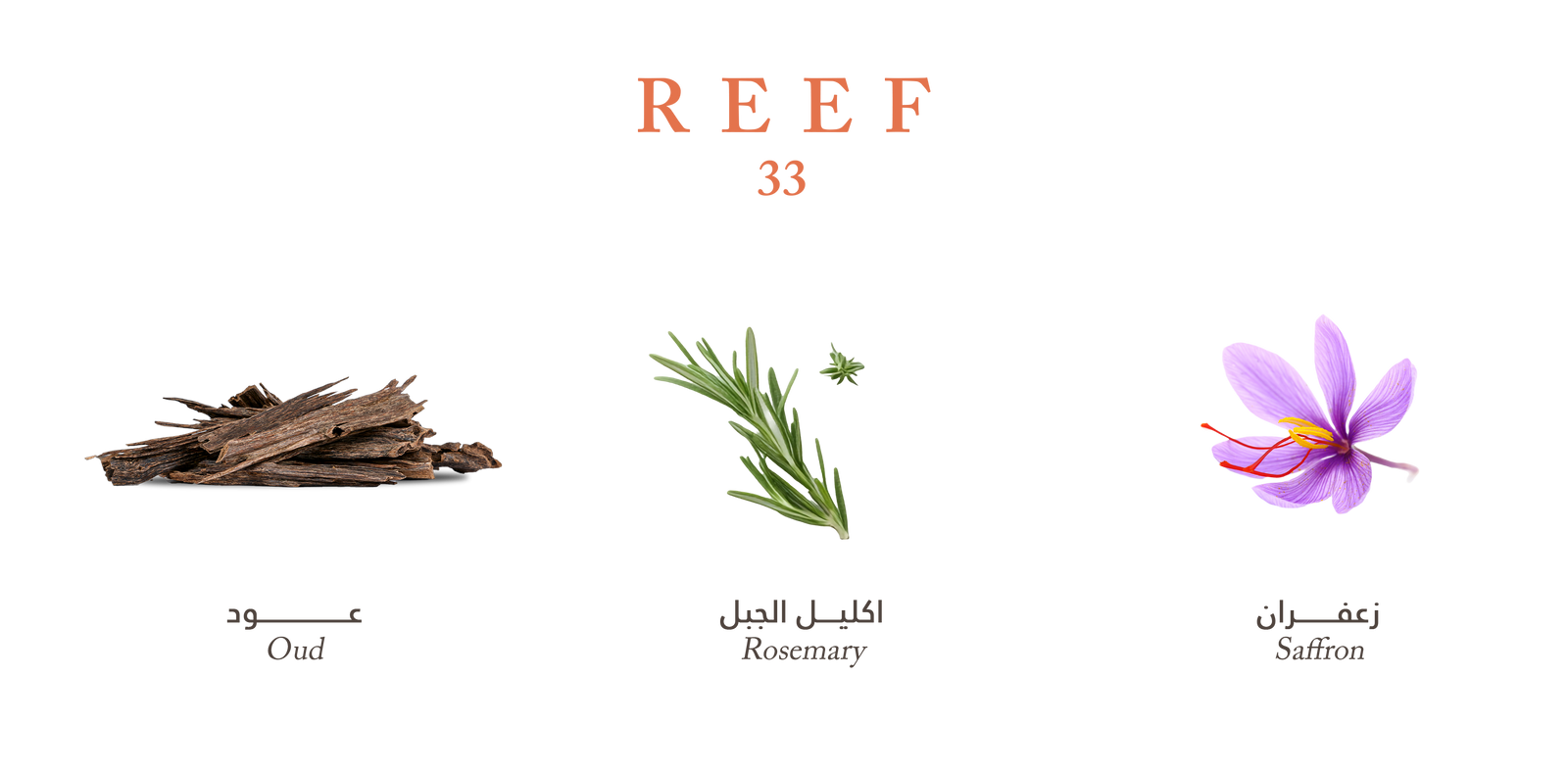 Reef Mood 33 - Air Freshener