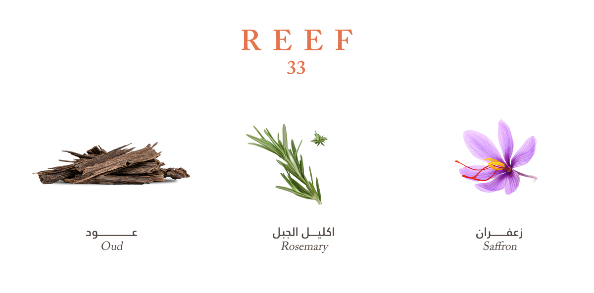 Reef 33 Diffusers Reef 33 - Diffuser | Velvet Oud