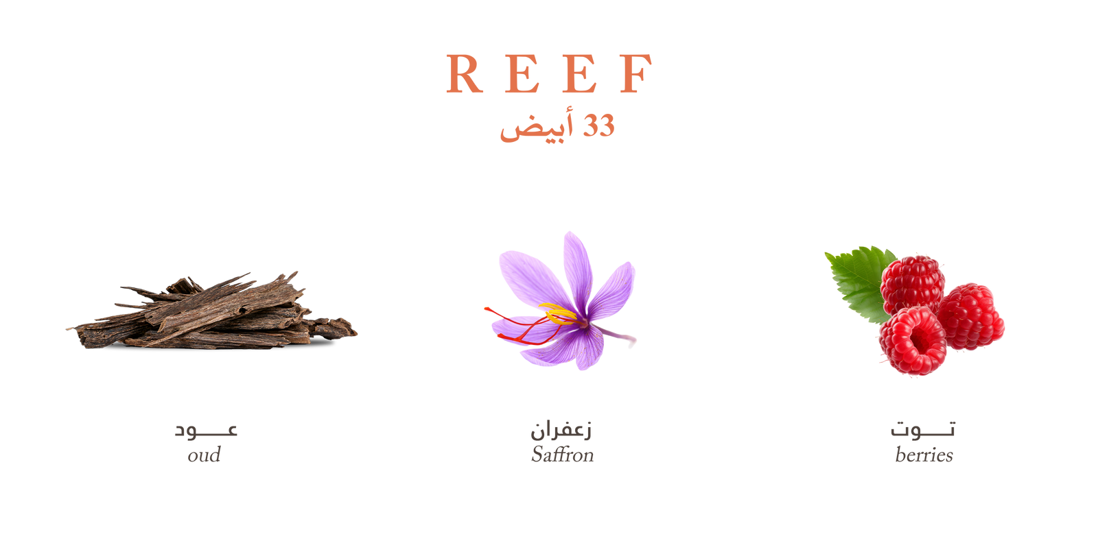 Reef 33 White - Mystic Oud Trail