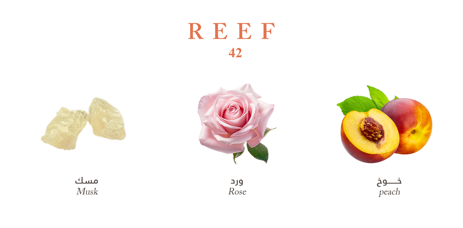 Reef 42 – Luxurious Rose Musk