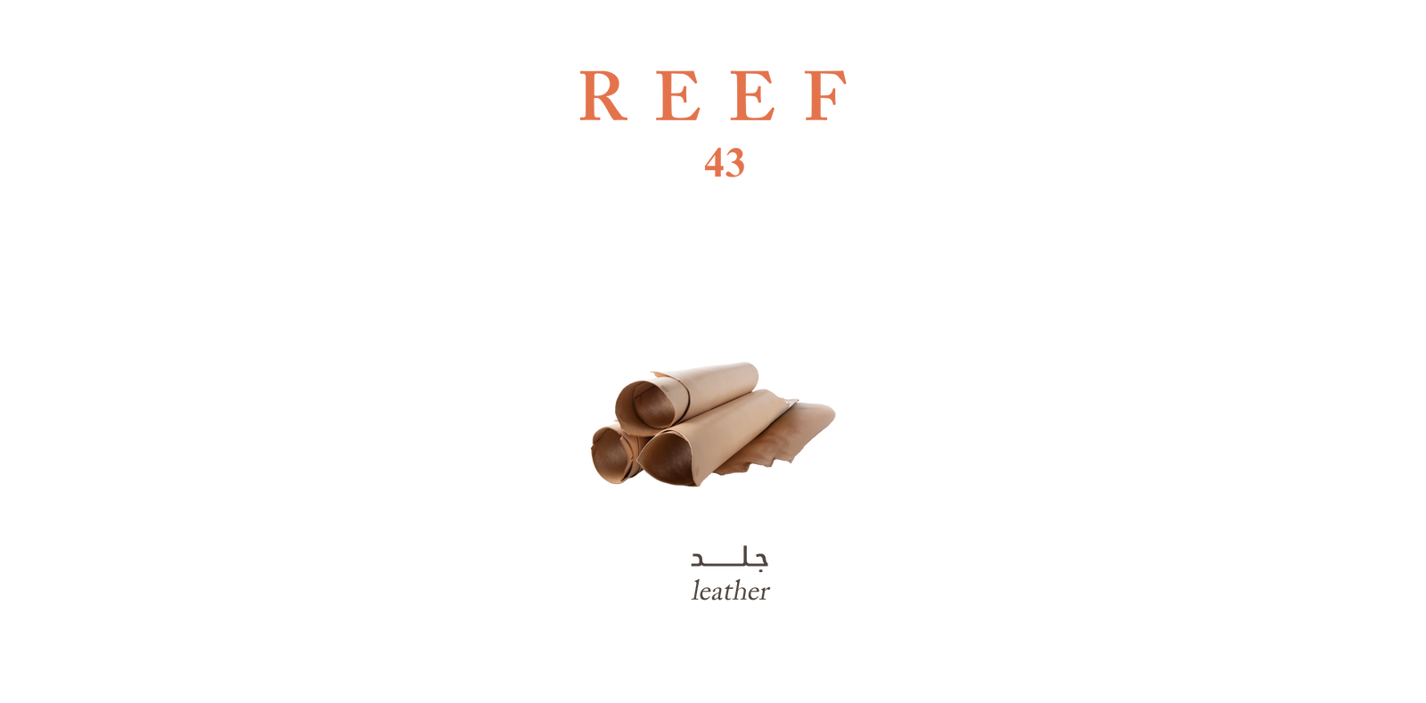 Reef 43 – Signature Leather Scent