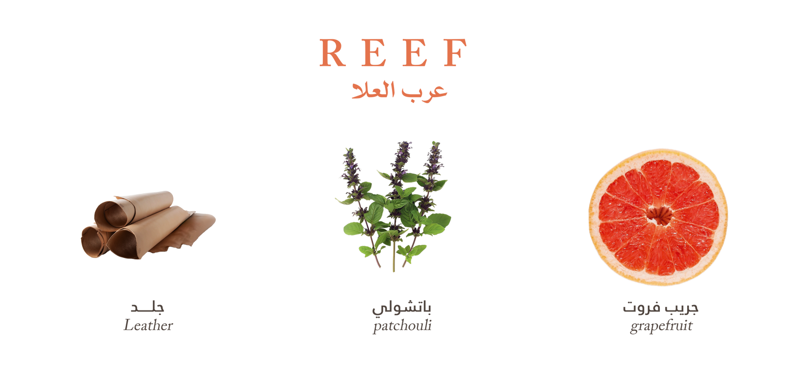 Reef Al Ola – Dark Leather Embers