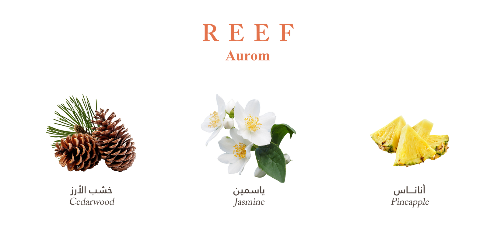 Reef Aurum