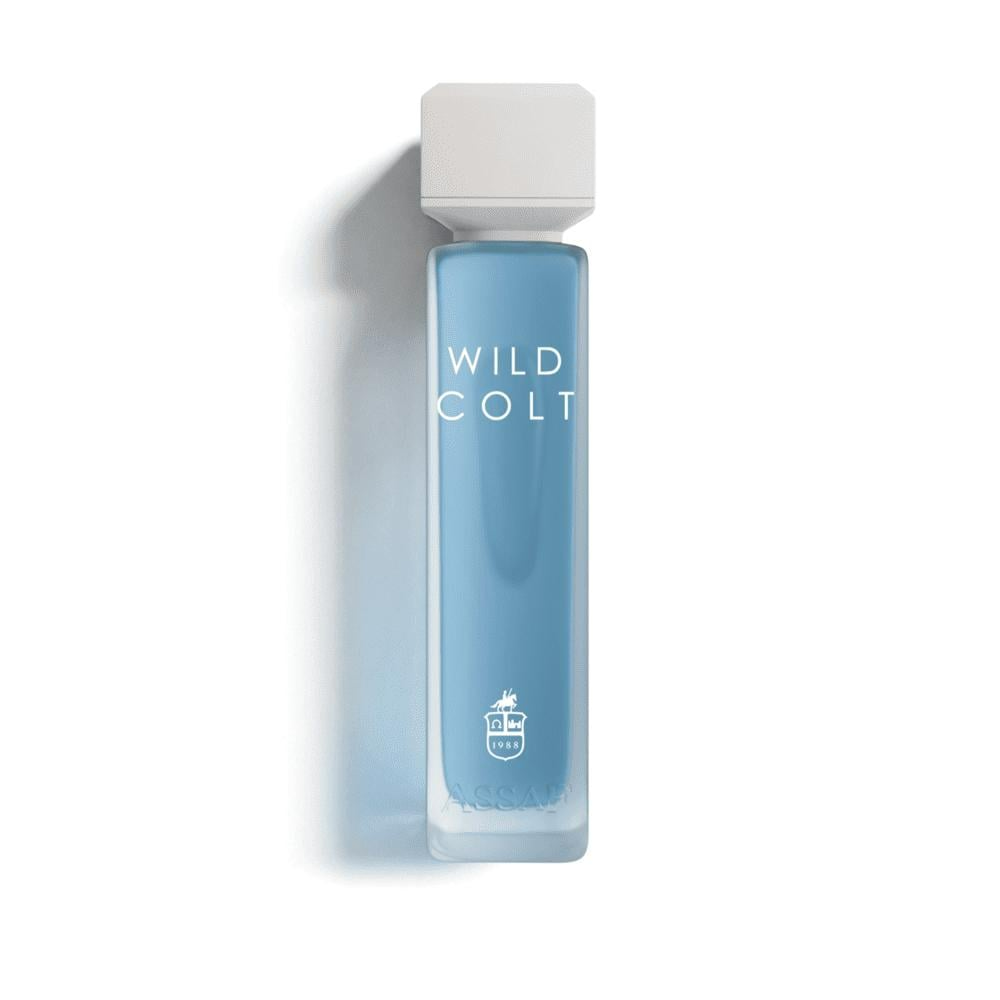 Assaf Wild Colt