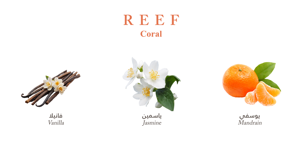 Reef Coral