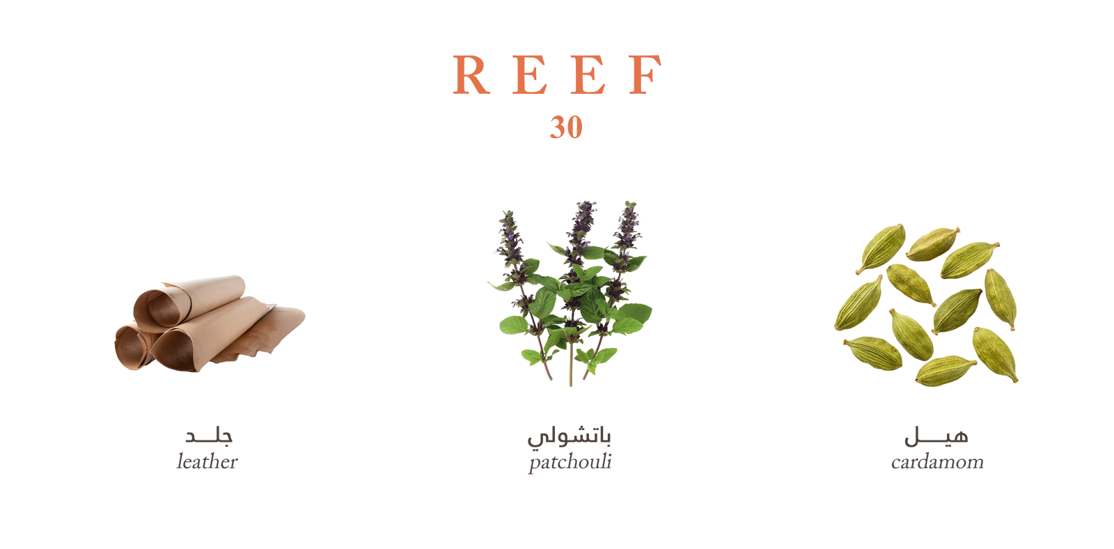Reef 30 – Bold Patchouli Leather