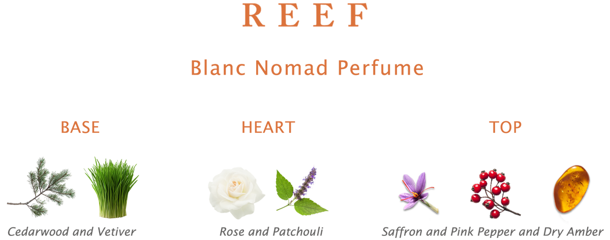 Reef Blanc Nomad