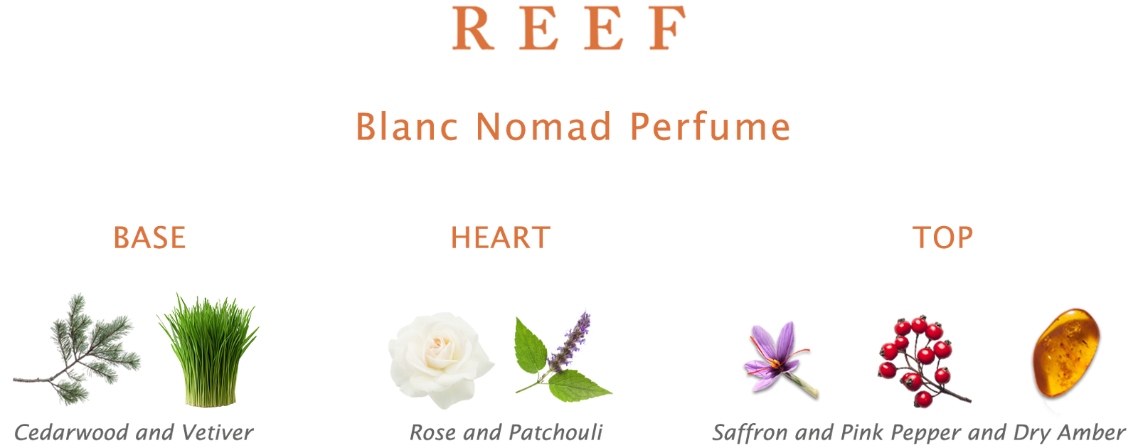 Reef Blanc Nomad