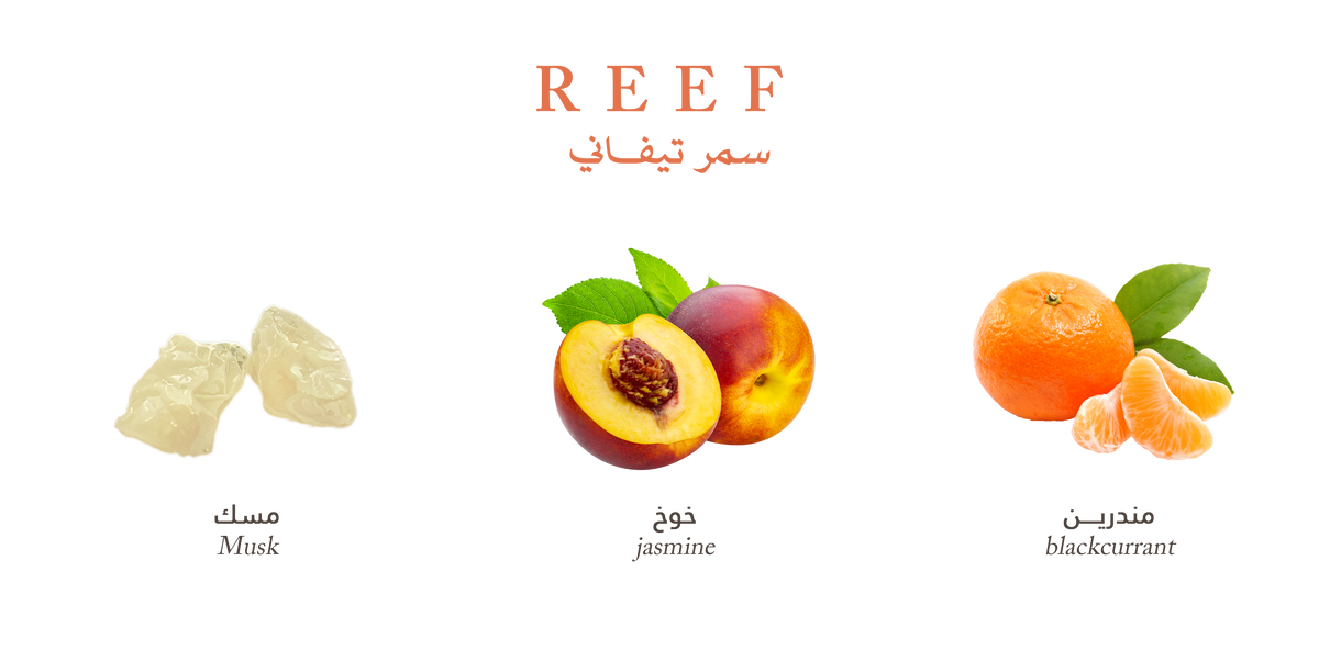 Reef Tiffany – Summer Fresh Musk