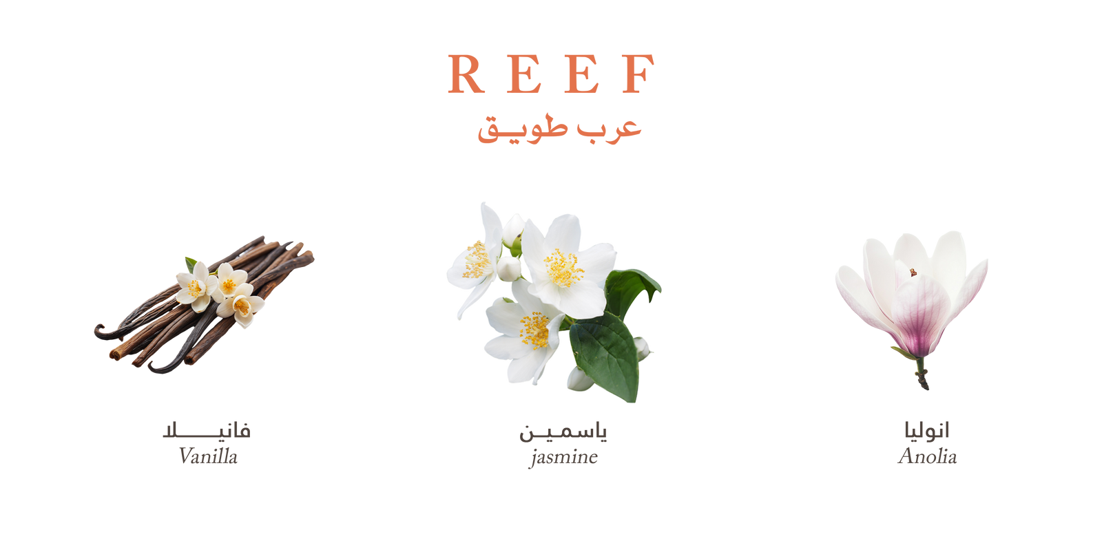 Reef Tuwayq – Spicy Vanilla Lure