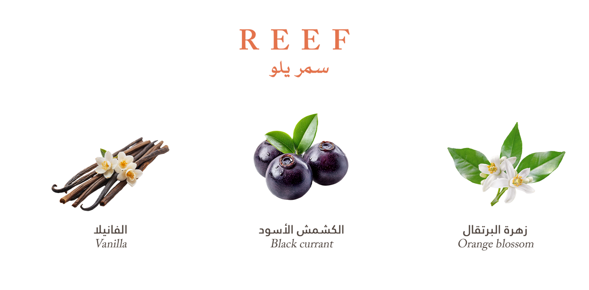 Reef Yellow – Velvet Vanilla Cradle