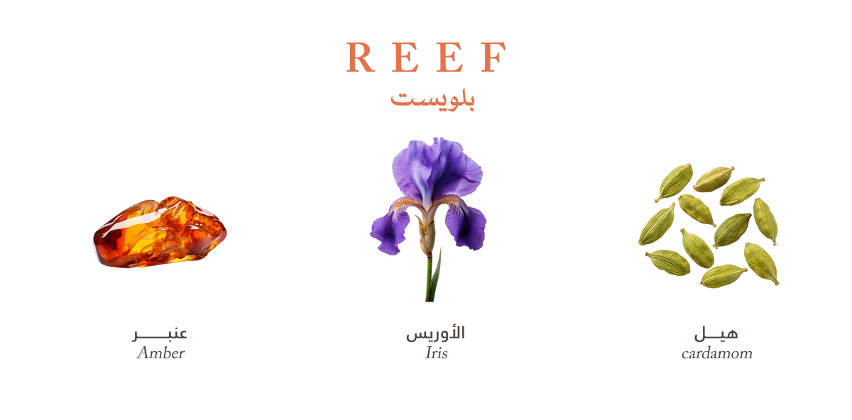 Reef Bluest – Golden Amber Touch
