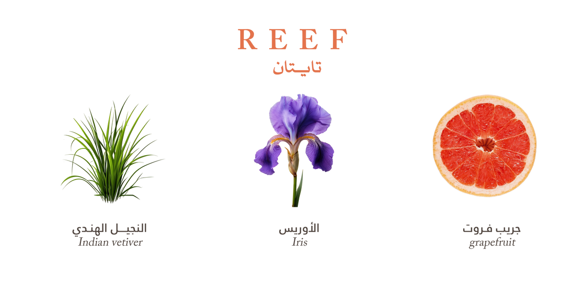 Reef Titan – Sweet Citrus Spark