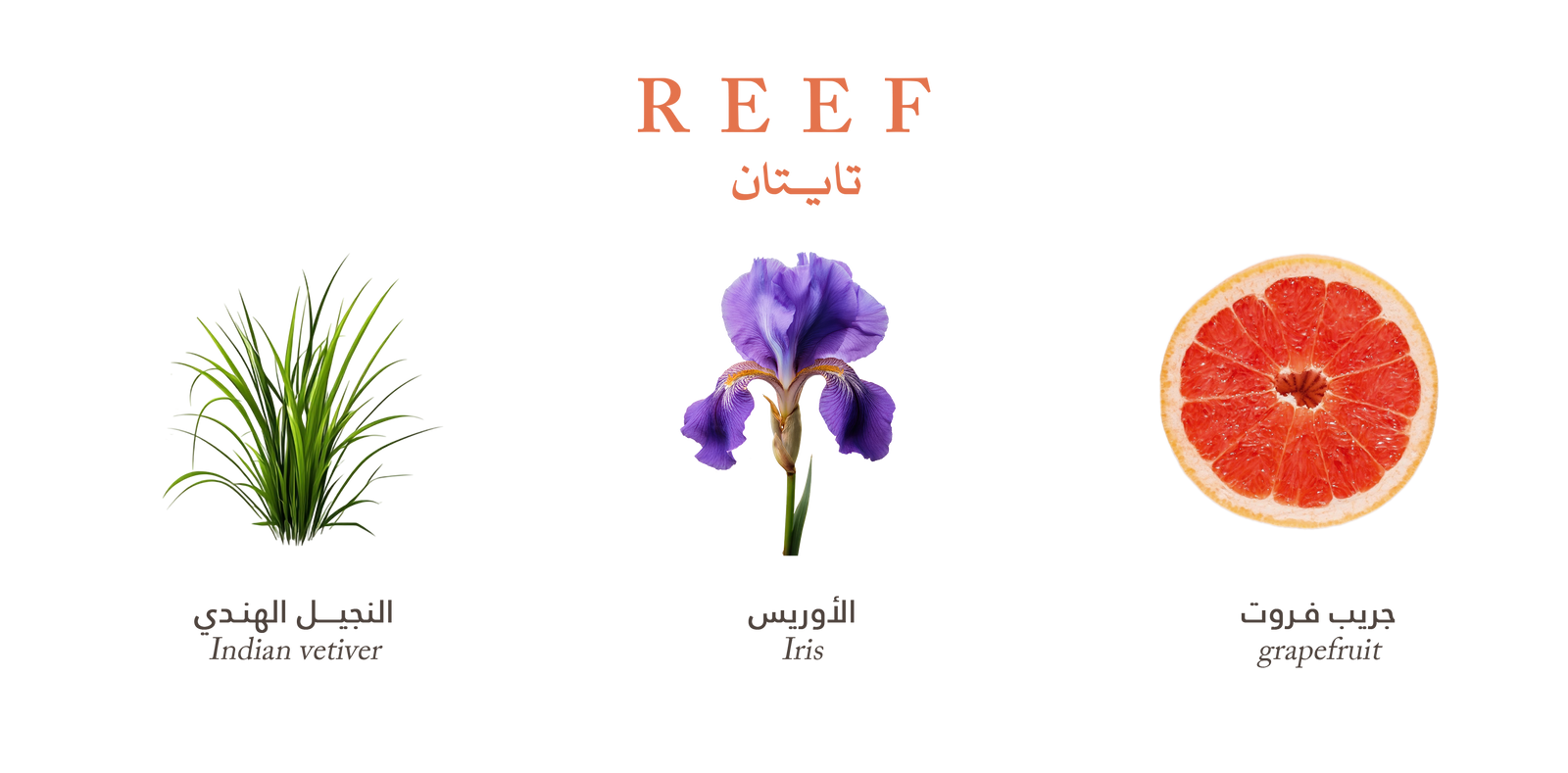 Reef Titan – Sweet Citrus Spark