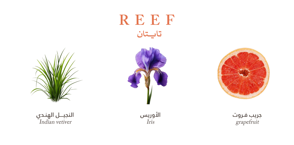 Reef Titan Body Spray