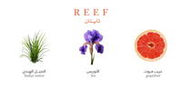 Reef Titan Body Spray