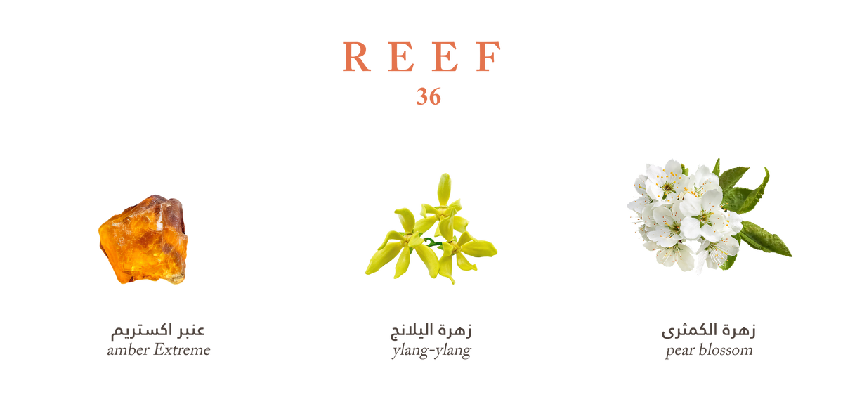 Reef 36 - Intense Amber Bloom