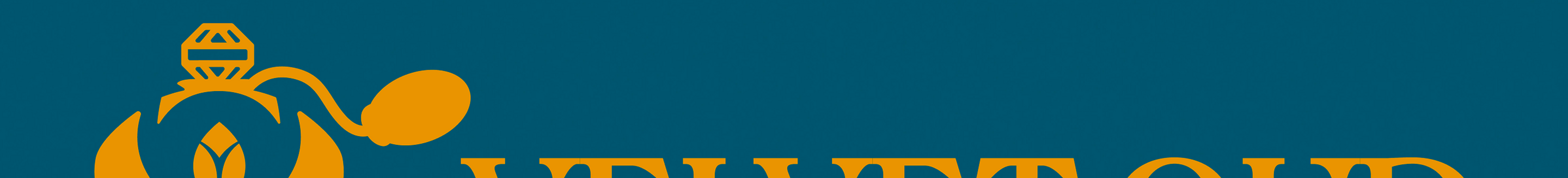 Loading Screen Image Top