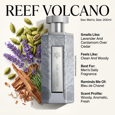 Reef Volcano – Deep Earth Elegance