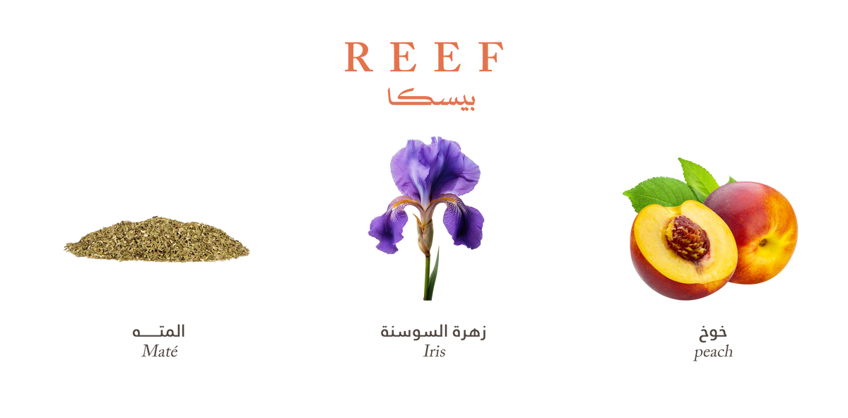 Reef Pesca – Peach Floral Radiance
