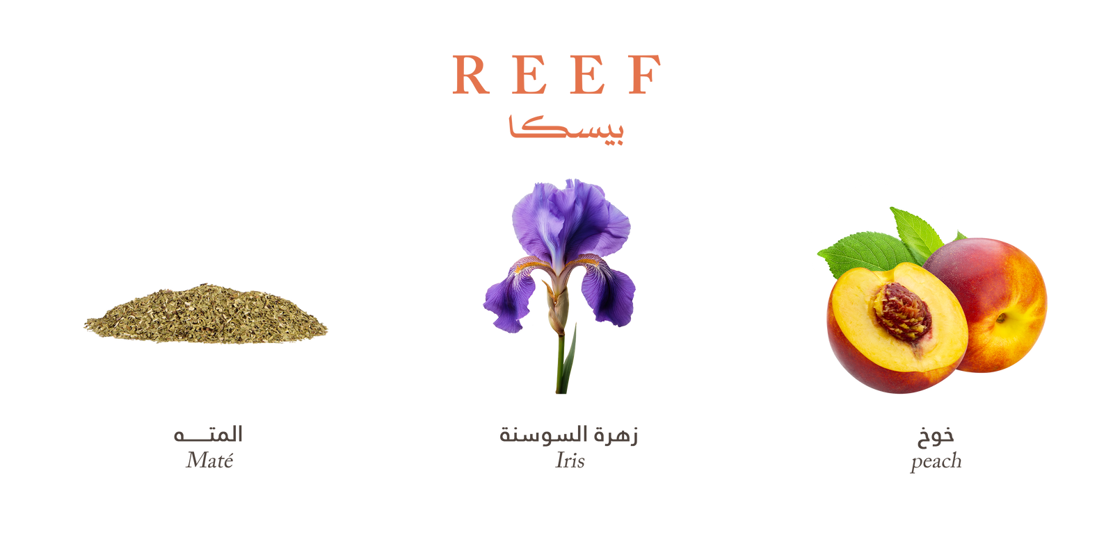 Reef Pesca – Peach Floral Radiance