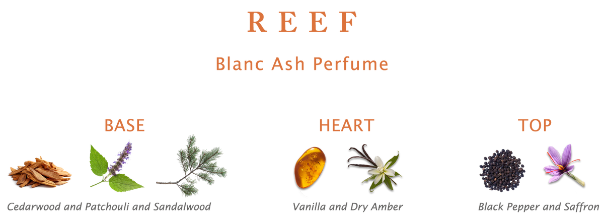 Reef Blanc Ash